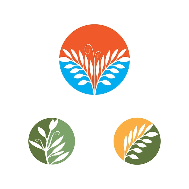 Зеленые листья ботанический вектор логотипа и дизайн символов