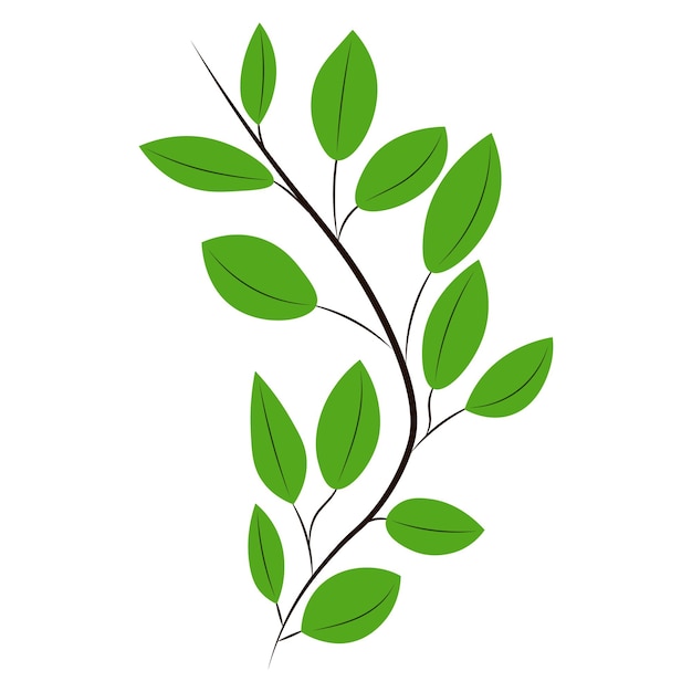 Green leaves on a branch Vector illustration