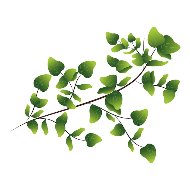 Green Leaves Branch Over White Background