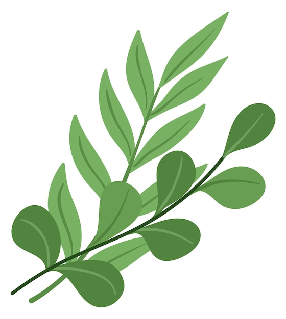 Vector green leaves branches floral element natural botany