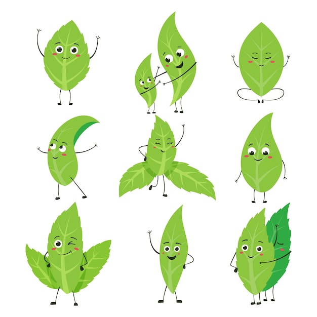 Green leaves character Cartoon tea peppermint and tree leaf mascot with cute smiling face Vector green leaf set