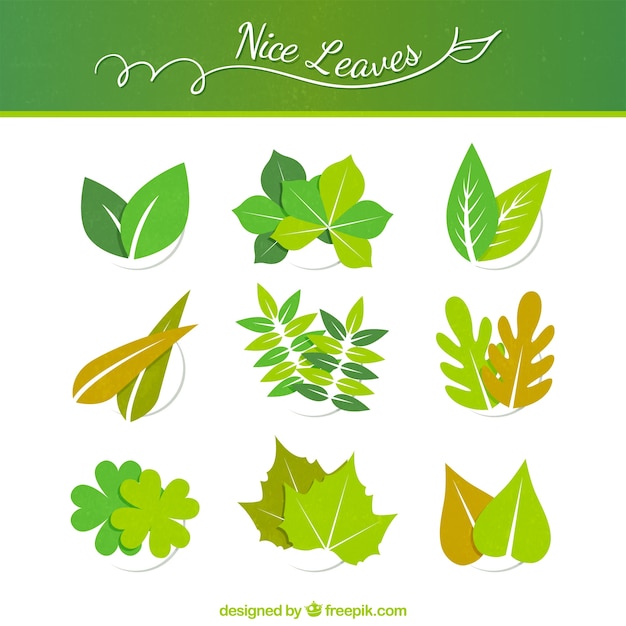 Vector green leaves collection