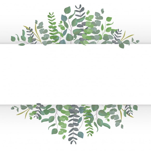 Vector green leaves and eucalyptus frame in watercolor style