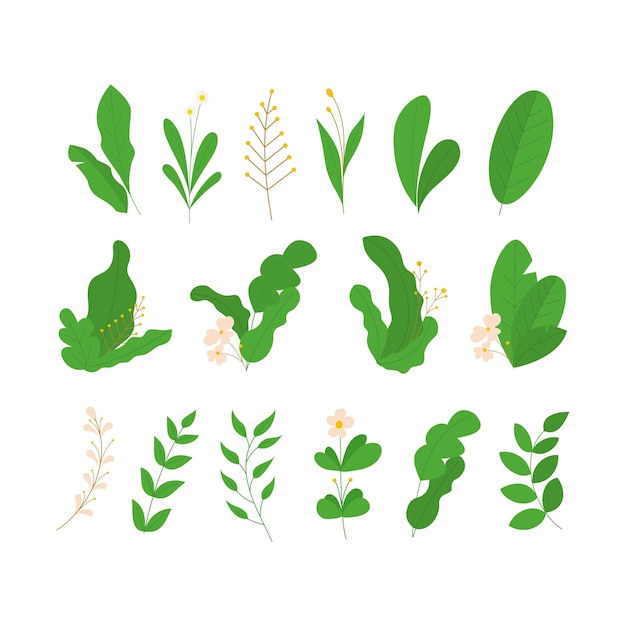 Green leaves flat style illustration