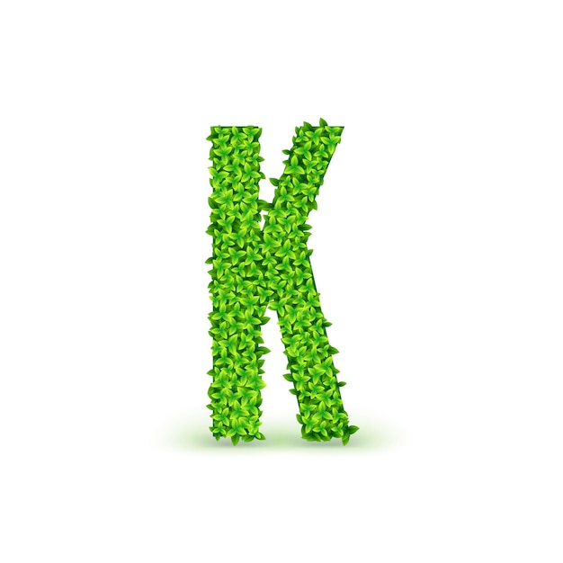 Green leaves font. capital letter k consisting of green leaves, vector illustration.