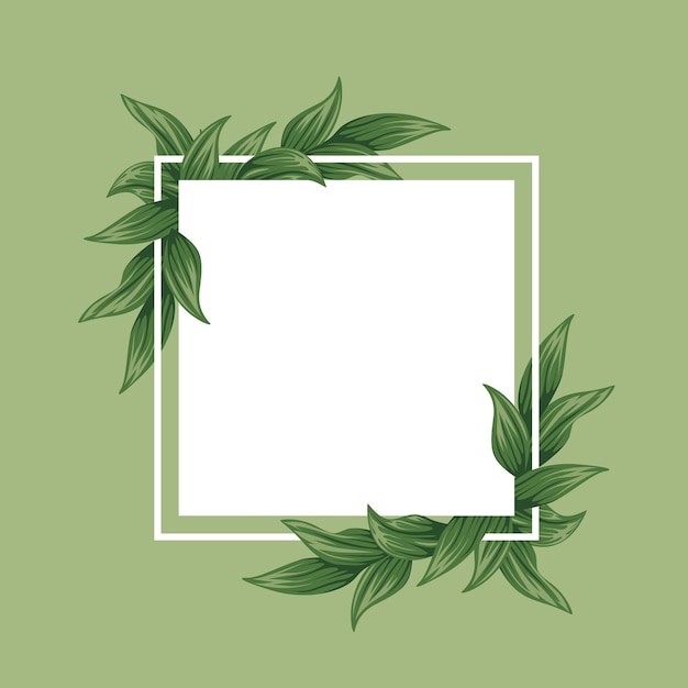 Vector green leaves frame