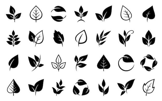 Green leaves icon set Vector design elements on white background