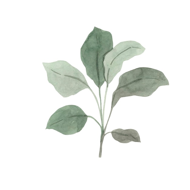 Green leaves illustration for kids