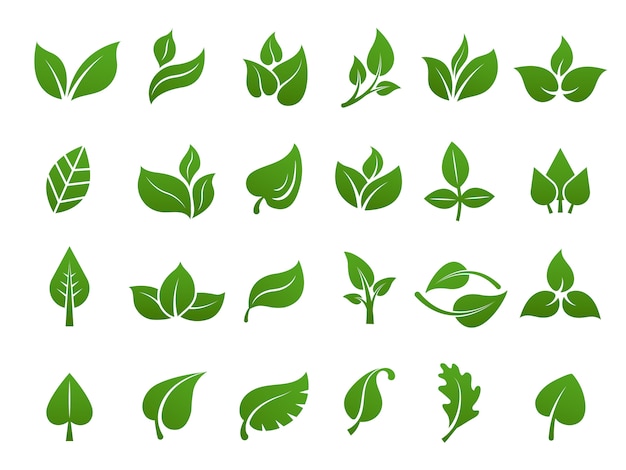 Vector green leaves logo. plant nature eco garden stylized icon vector botanical collection