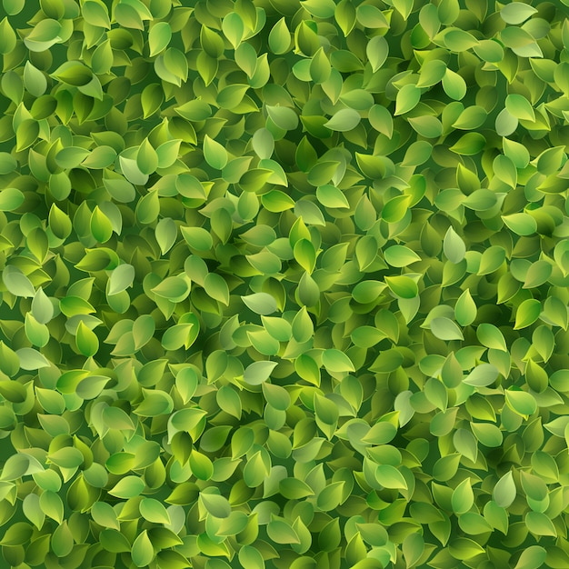 Vector green leaves pattern background.