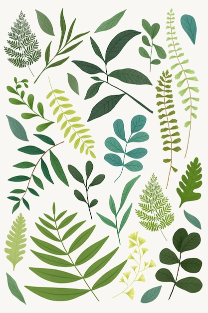 Vector green leaves set