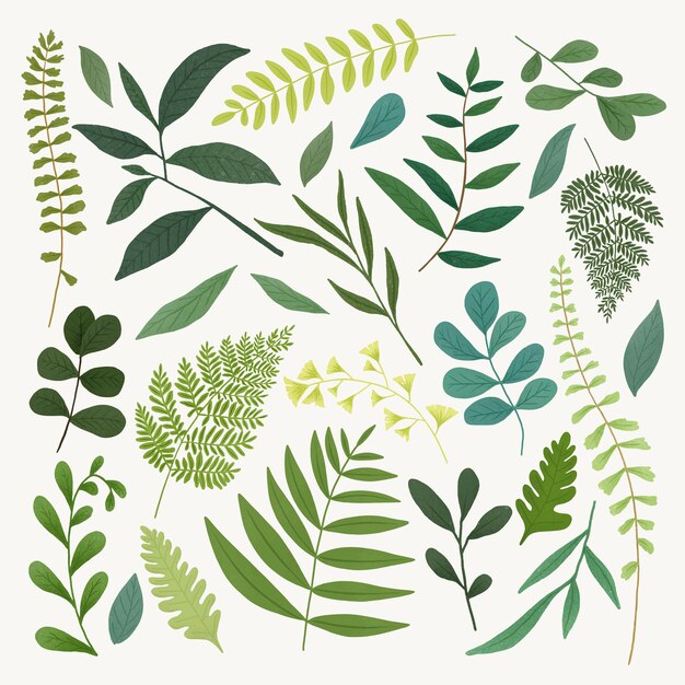 Vector green leaves set