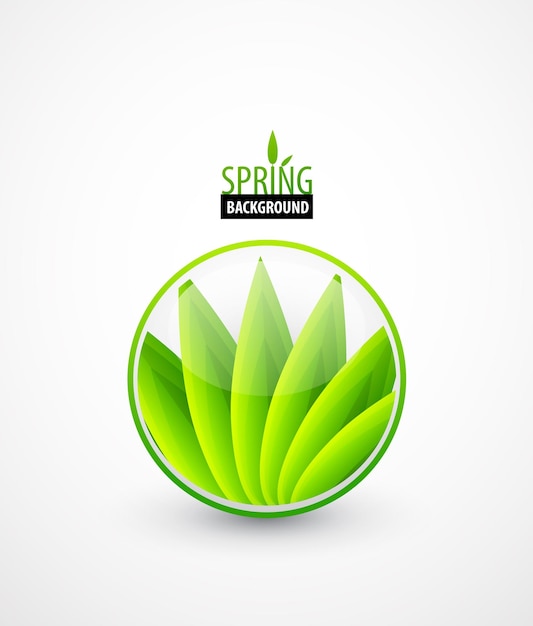 Green leaves spring concept