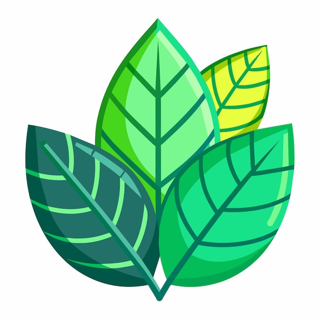 green leaves vector illustration