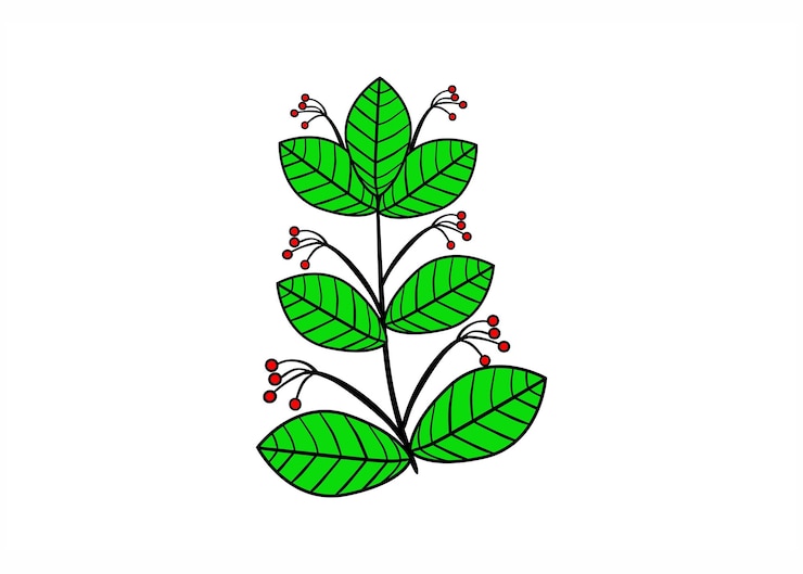 Vector green leaves vector