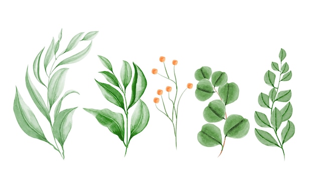 Green leaves  watercolor set