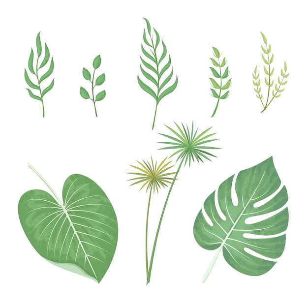 Vector green leaves watercolor set