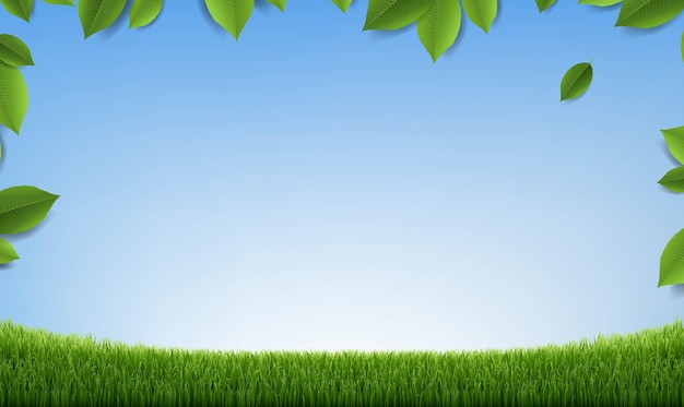 Vector green leaves with green grass with gradient background, vector illustration