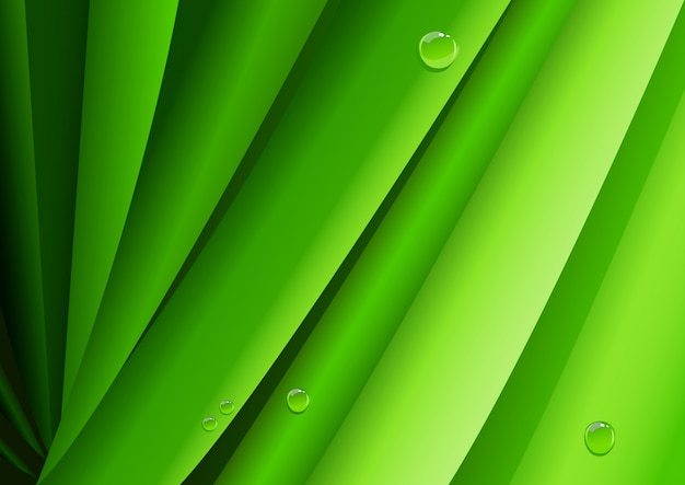 Vector green leaves with morning dew