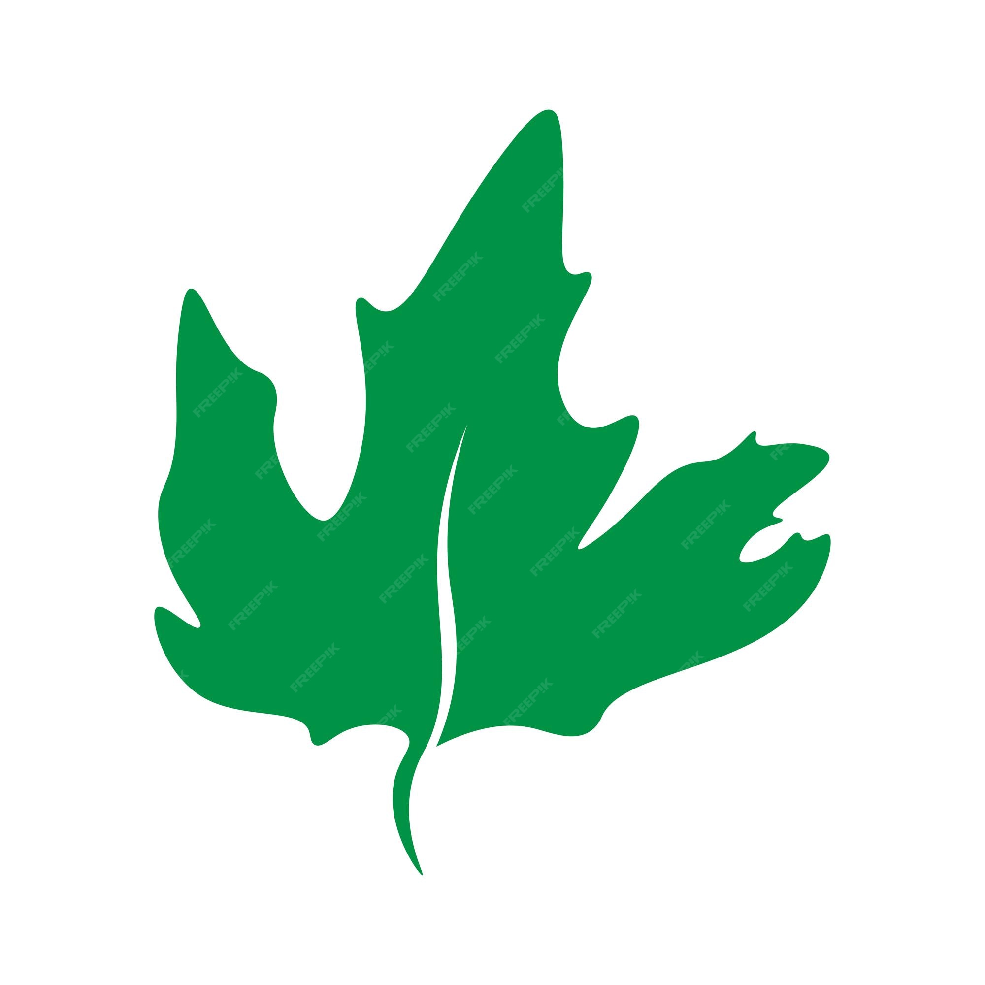 Premium Vector | Green Leaves