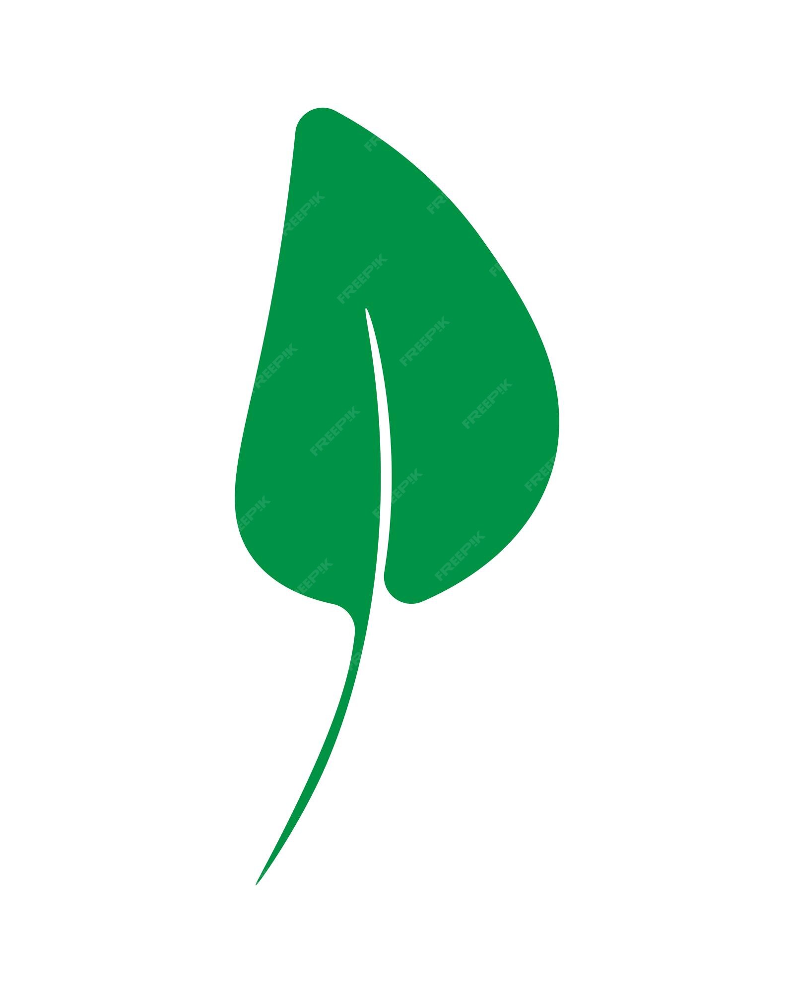 Premium Vector | Green leaves