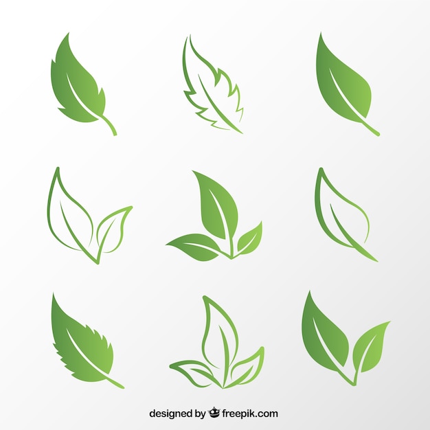 Vector green leaves