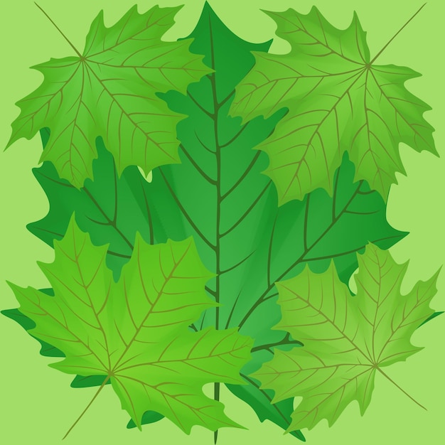 Vector green leaves