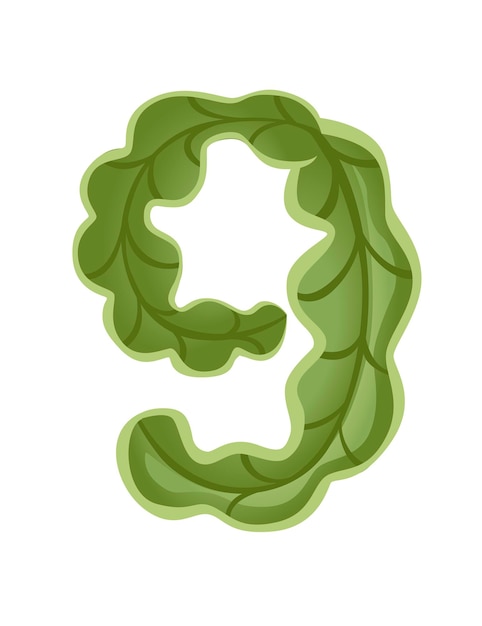 Lattuga verde numero 9 stile cibo vegetale cartone animato design piatto illustrazione vettoriale