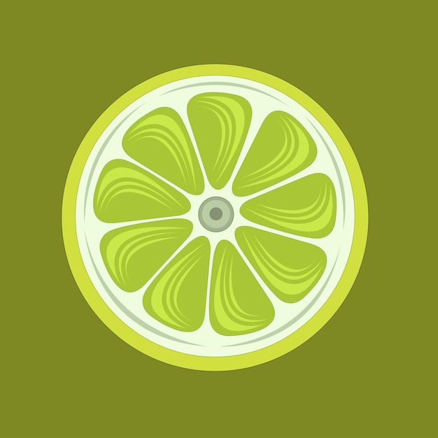 Vector green lime illustration