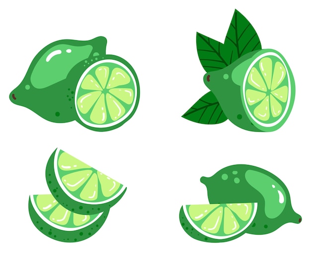 Green lime lemon slice citrus cutting chopping fruits isolated set design graphic illustration