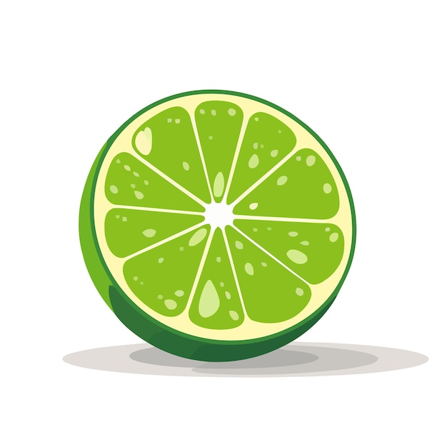 Vector green lime lime image isolated sliced lemon in flat design vector illustration