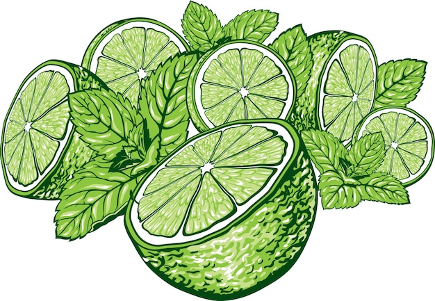 Green lime slices with mint