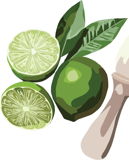 Green limes with leaves