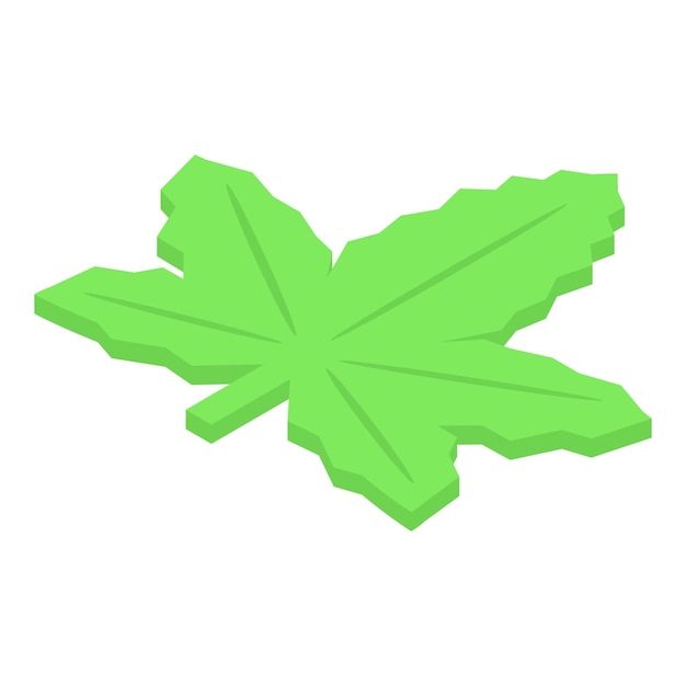 Green maple leaf rotating in isometric view showing its complex structure