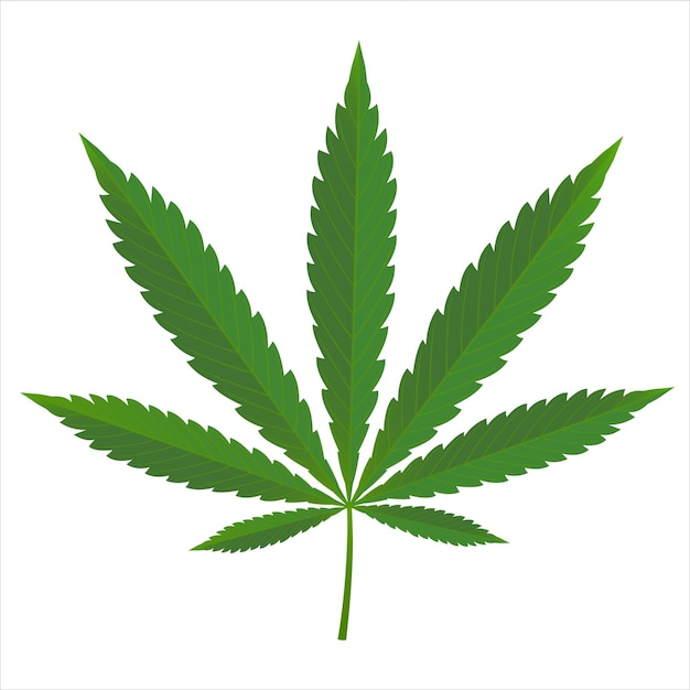 Vector green marijuana medical herbs illustration