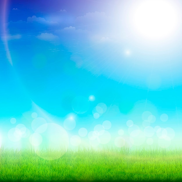 Green Meadow On a Sunny Day.