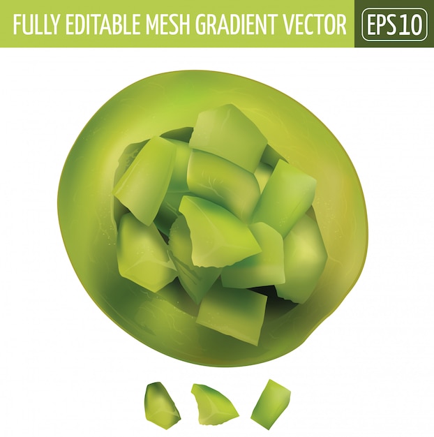 Vector green melon cut illustration on white