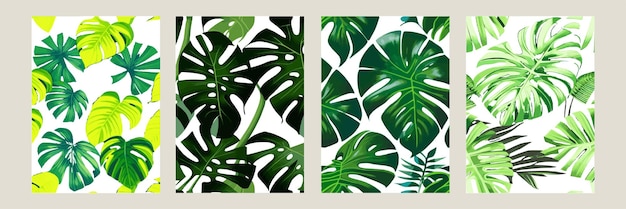 Monstera verde come motivo su sfondo bianco motivo esotico con foglie tropicali set di illustrazioni vettoriali