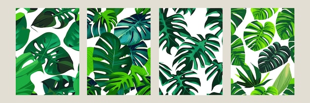 Green monstera as a pattern on a white background exotic pattern with tropical leaves Vector illustration set