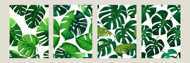 Green monstera as a pattern on a white background exotic pattern with tropical leaves Vector illustration set