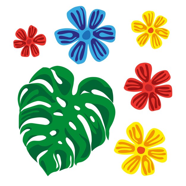 Green monstera leaf and flowers. Vector 