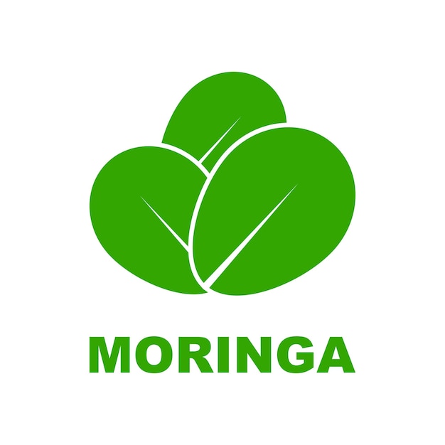 녹색 moringa 잎 로고 컨셉 디자인 벡터 일러스트 아이콘 템플릿 현대 개념