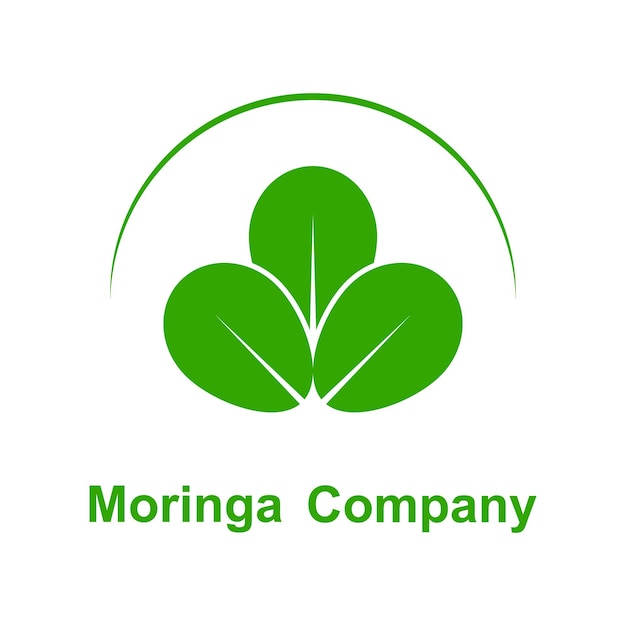 녹색 moringa 잎 로고 컨셉 디자인 벡터 일러스트 아이콘 템플릿 현대 개념