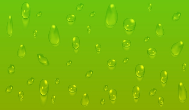 Green natural background with water drops