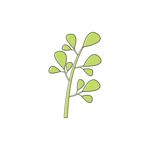 벡터 흰색 배경에 고립 된 녹색 자연 moringa 잎 로고 템플릿