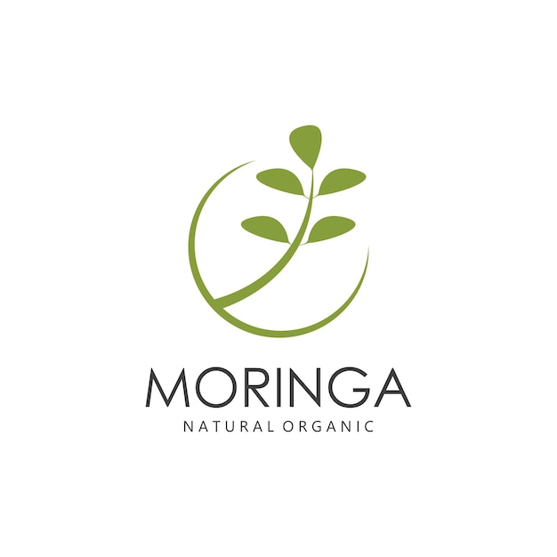 Green Natural Moringa Leaf Logo Template Isolated on White Background