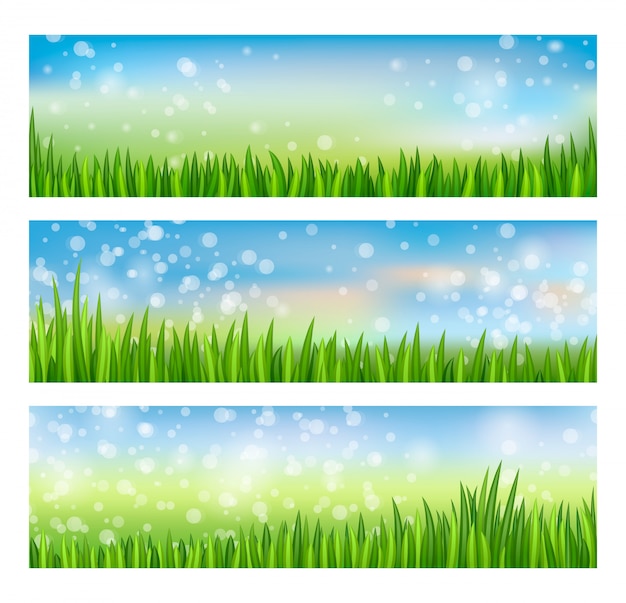 Vettore bandiere verdi della natura con erba e cielo blu