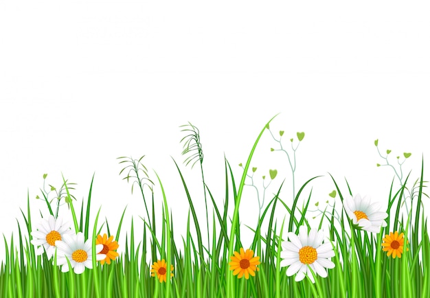 Green nature border with grass and flower background