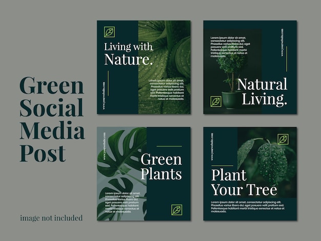 Vector green nature plant social media post set