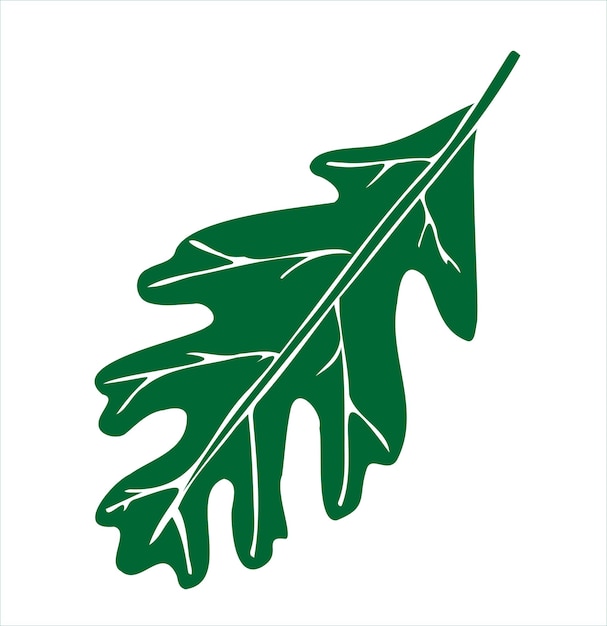 Green oak leaf doodle illustration abstraction